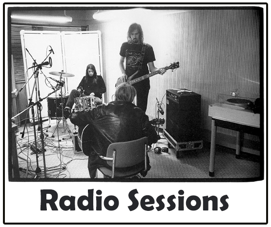 Nirvana Live Concerts - Radio Sessions